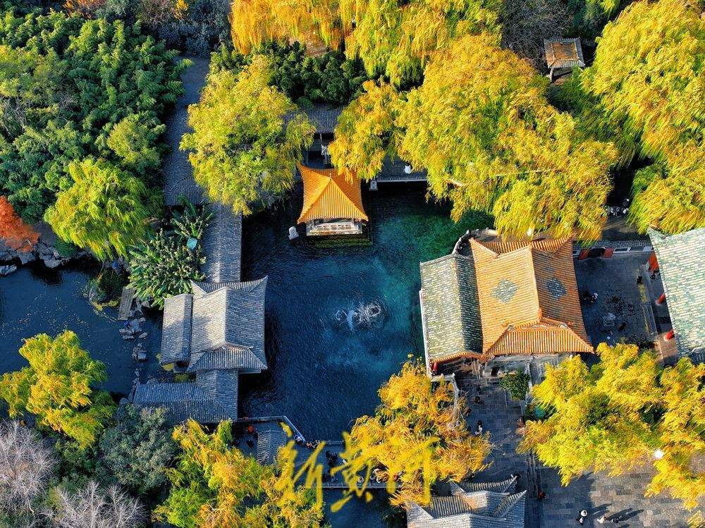 泉城气温跌破0℃ “趵突腾空”胜景依旧