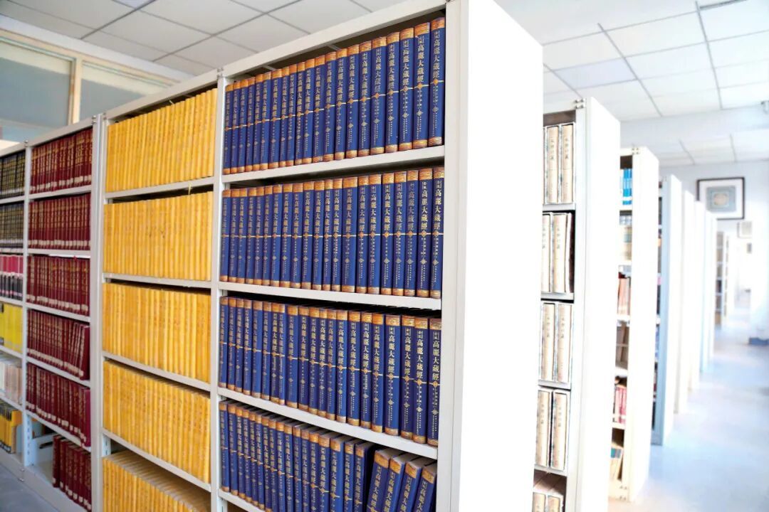 兰大有座文科"实验室" 近15万册藏书解锁敦煌学方法论