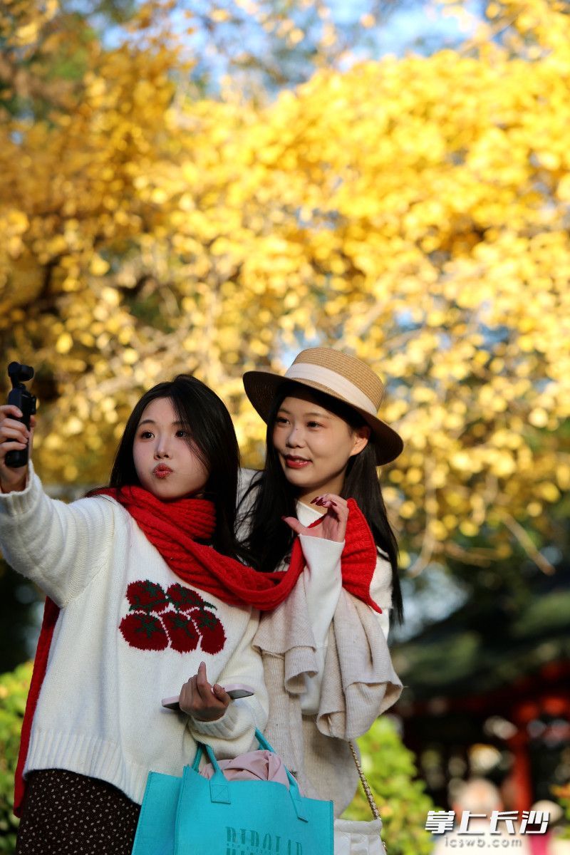 “银杏王”成为公园一道独特的风景线。