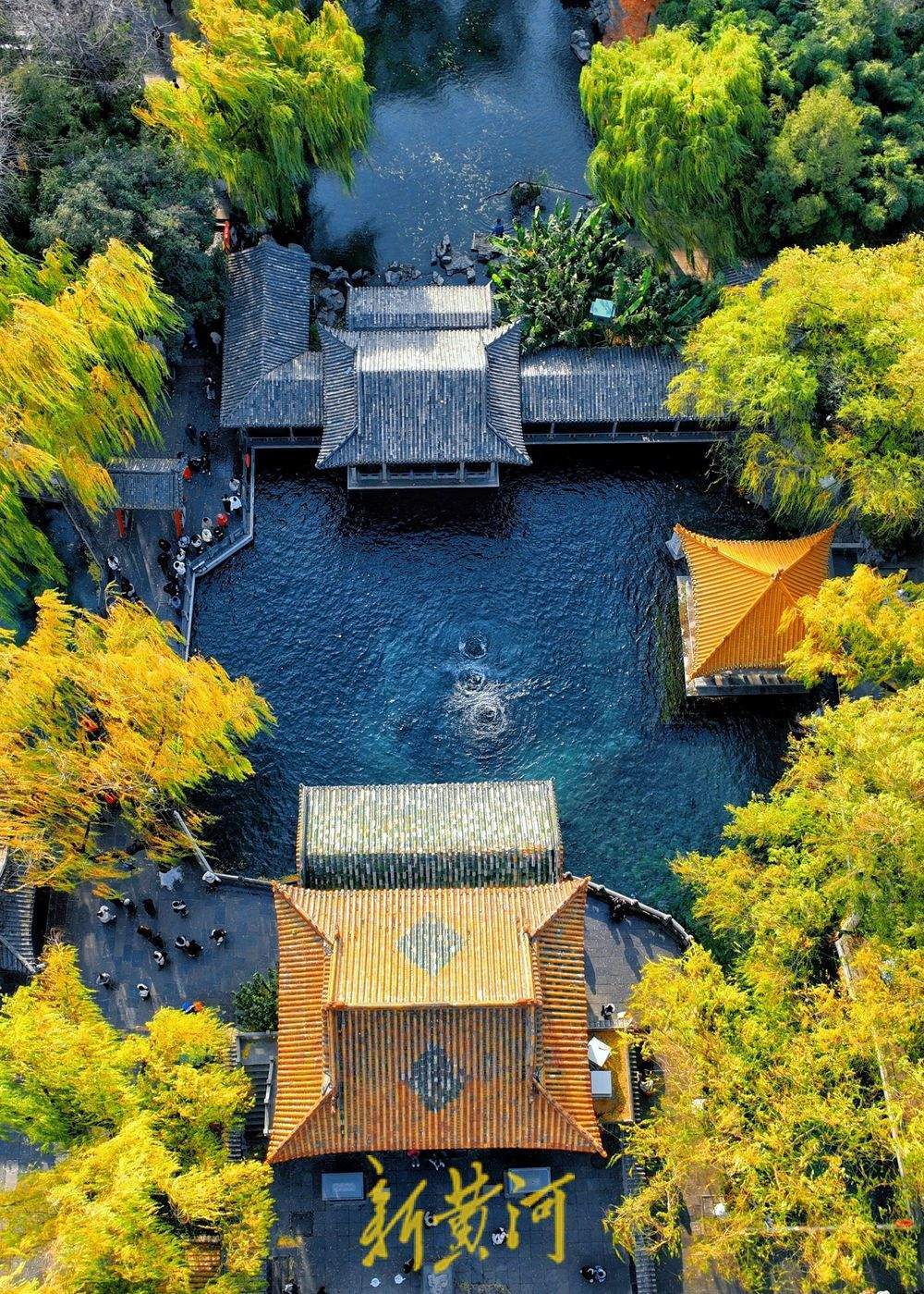 泉城气温跌破0℃ “趵突腾空”胜景依旧