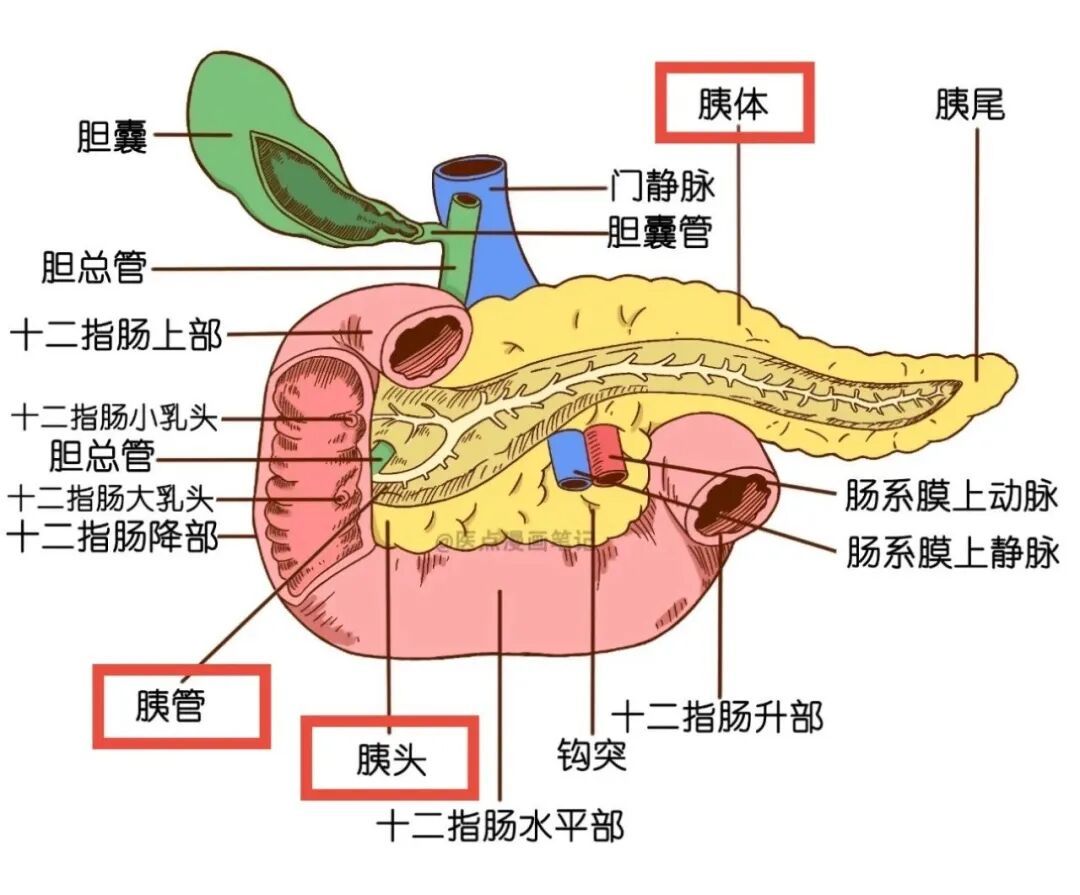 小伙“豆腐器官”断裂 西安大兴医院医生毫米之间“生命排爆”