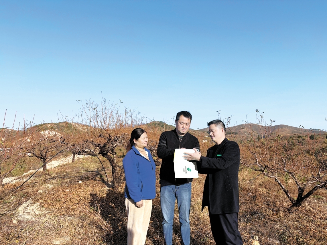 邮储银行孝感市分行客户经理前往蟠桃种植园，为退役军人沈某介绍“军创贷”专属产品。