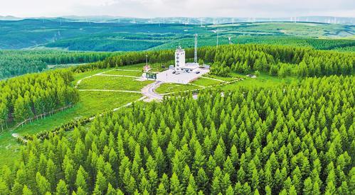 6月9日拍摄的塞罕坝机械林场。（本报资料片） 本报记者 李佳泽摄