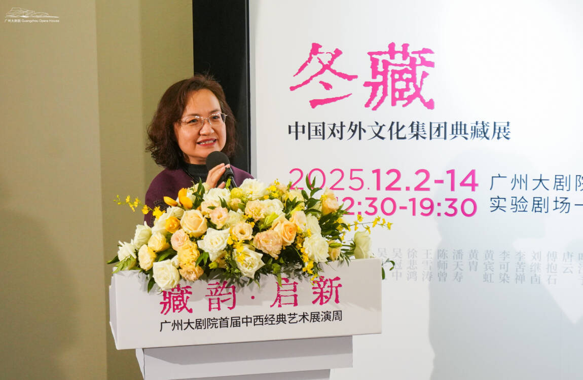 图:中国对外文化集团党委委员冀素琛发言