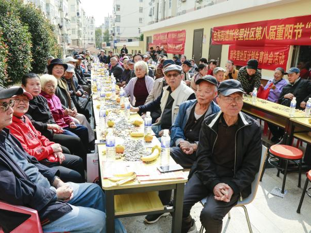 提升服务“加速度”  彰显实干“新担当” 台东街道2025年为民服务工作纪实（一）