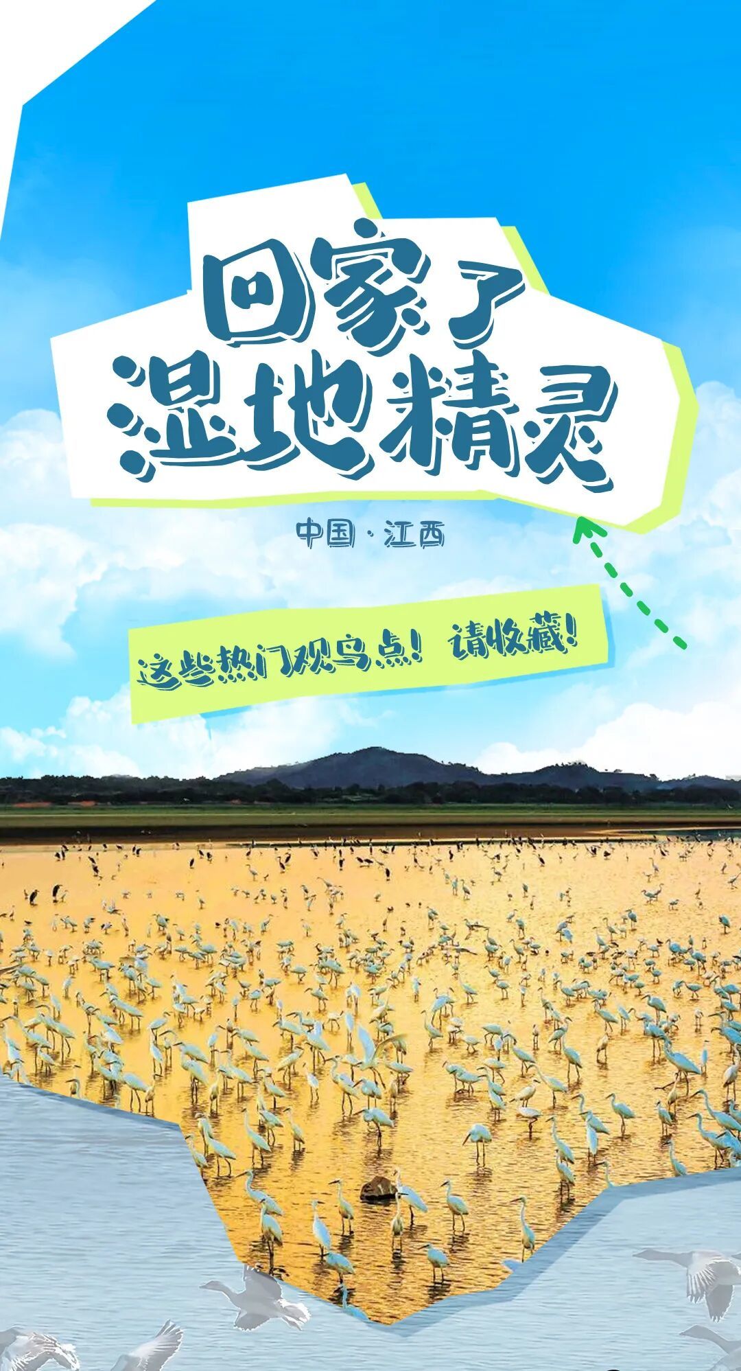 候鸟飞回来了!江西这些热门观鸟点快收藏凤凰网江西_凤凰网