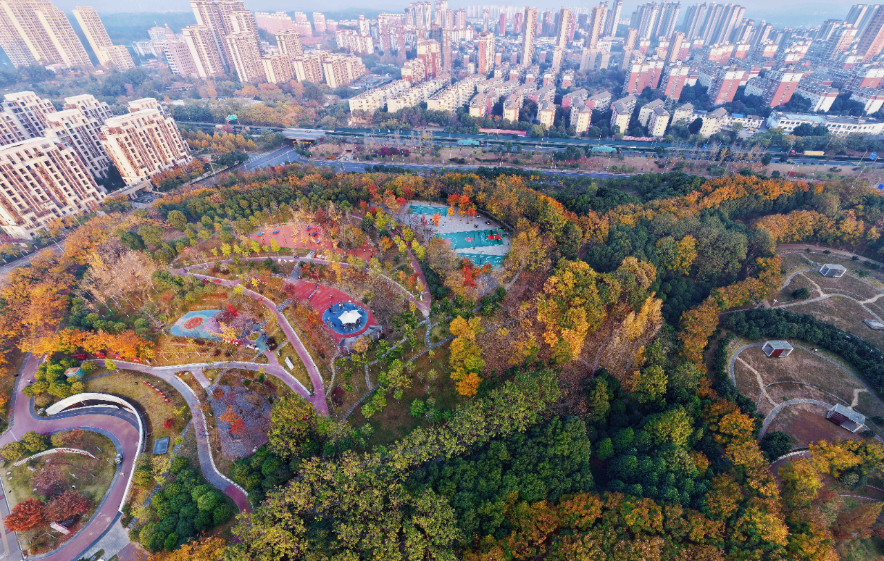 九江：冬日画卷 活力绿洲（图）