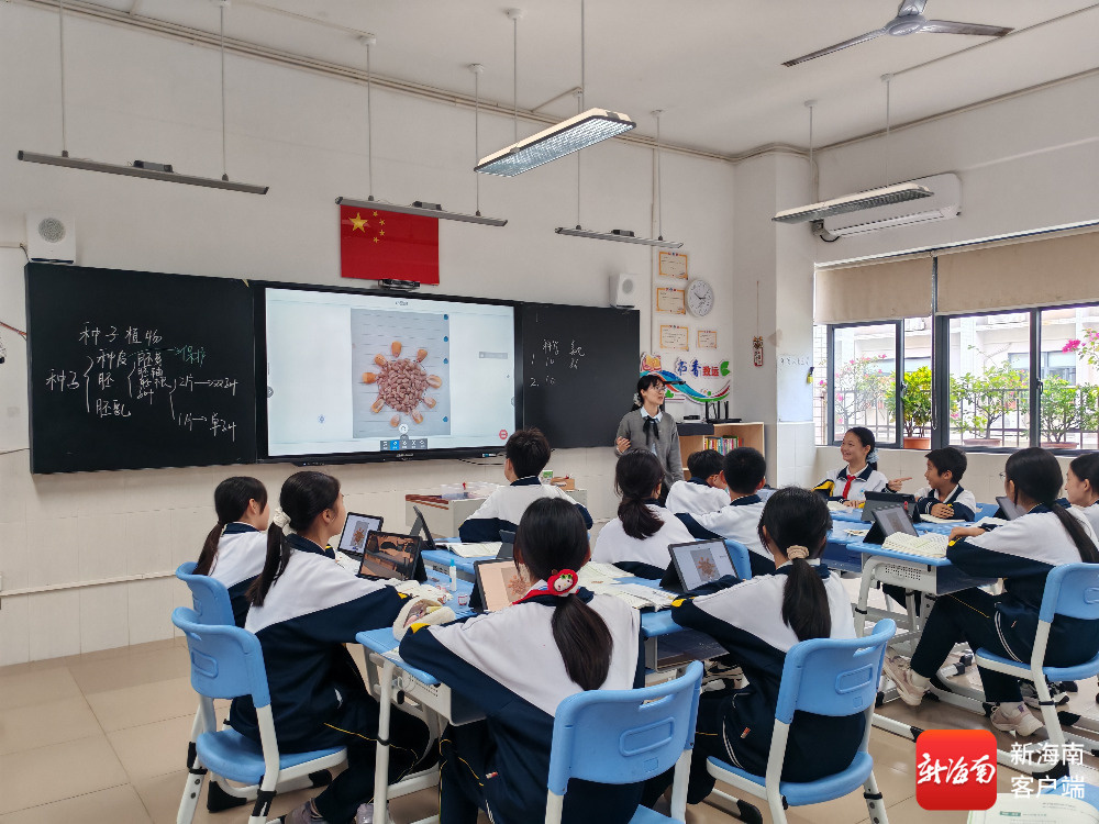 海景学校生物课堂。记者叶长文摄