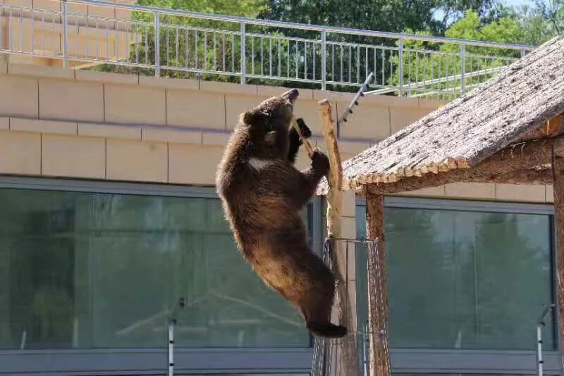 图源:甘肃农村广播