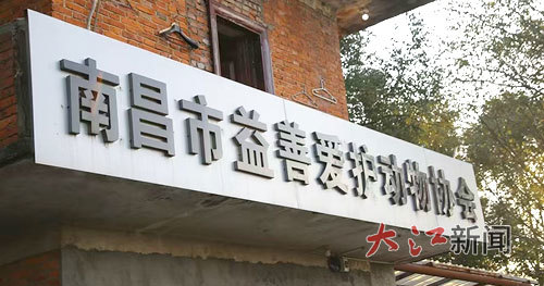 南昌市益善爱护动物协会。