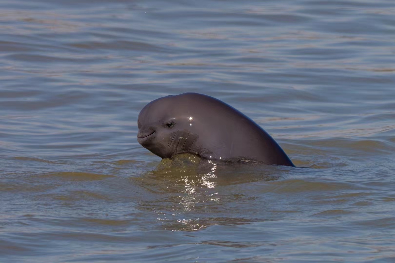 图片来源:南京生态环境
