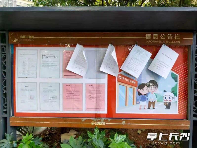 小区公共收益管理账单公示在信息公告栏内。市住建局供图