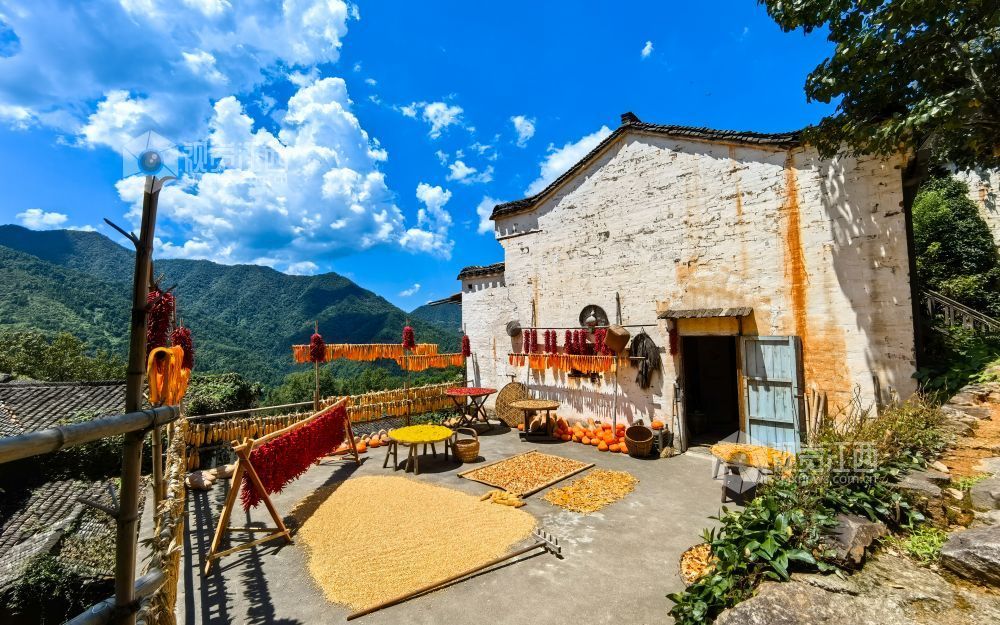 江西婺源“篁岭晒秋”引客来(视觉江西王建旭摄)