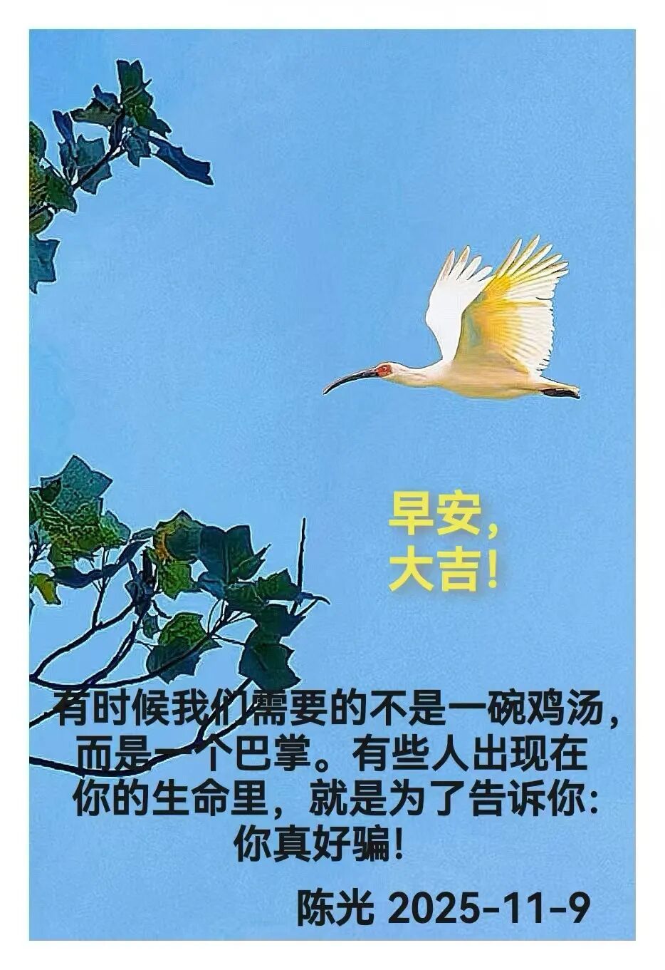 早安心语丨知世故而不世故，爱人爱己，豁达乐观！