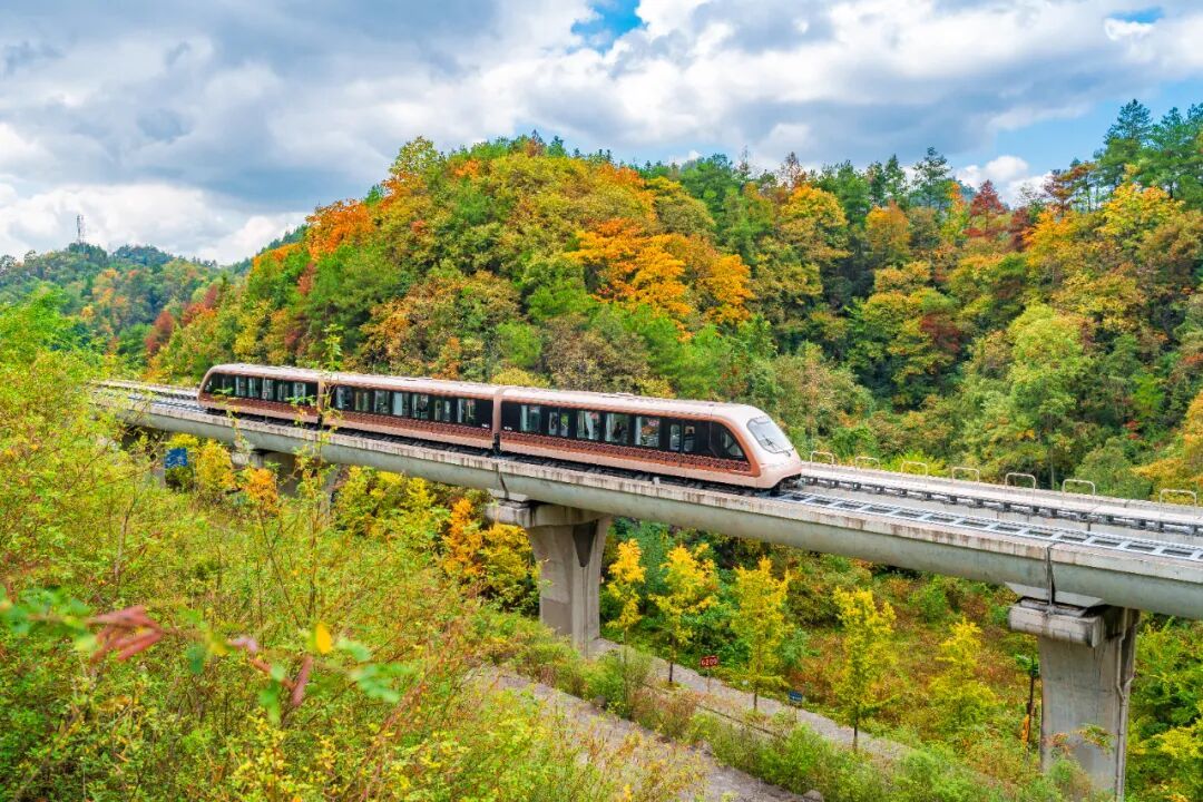 11月4日，凤凰县沱江镇齐良桥村，游客搭乘凤凰磁浮观光快线，沿途饱览层林尽染的醉人秋景，感受“车在画中行”的独特体验。梁永鸿 摄