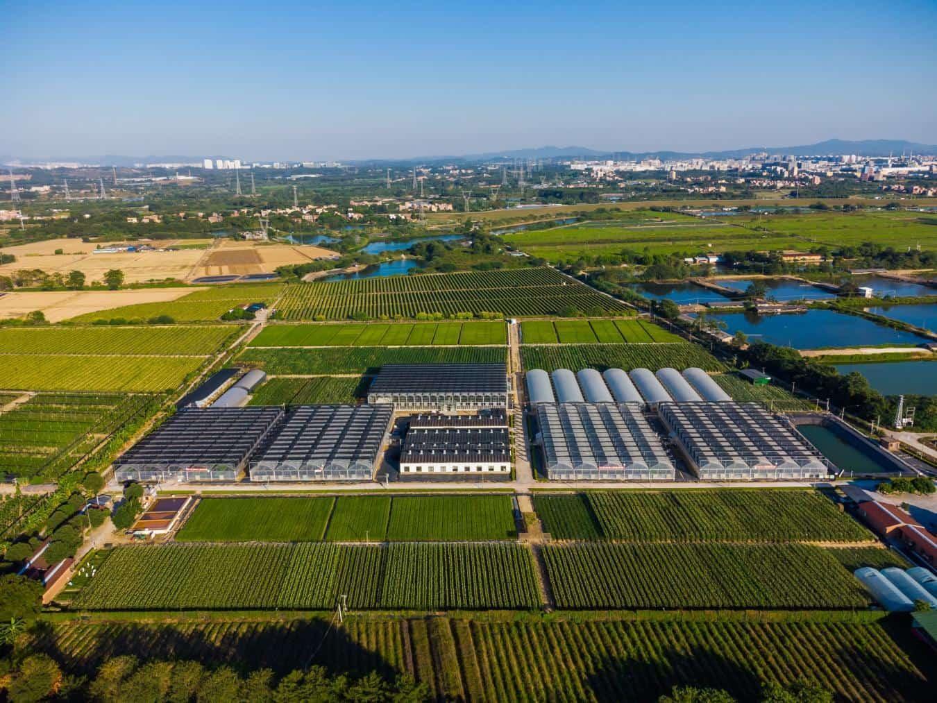 蔬菜工厂化育苗车间及产业项目