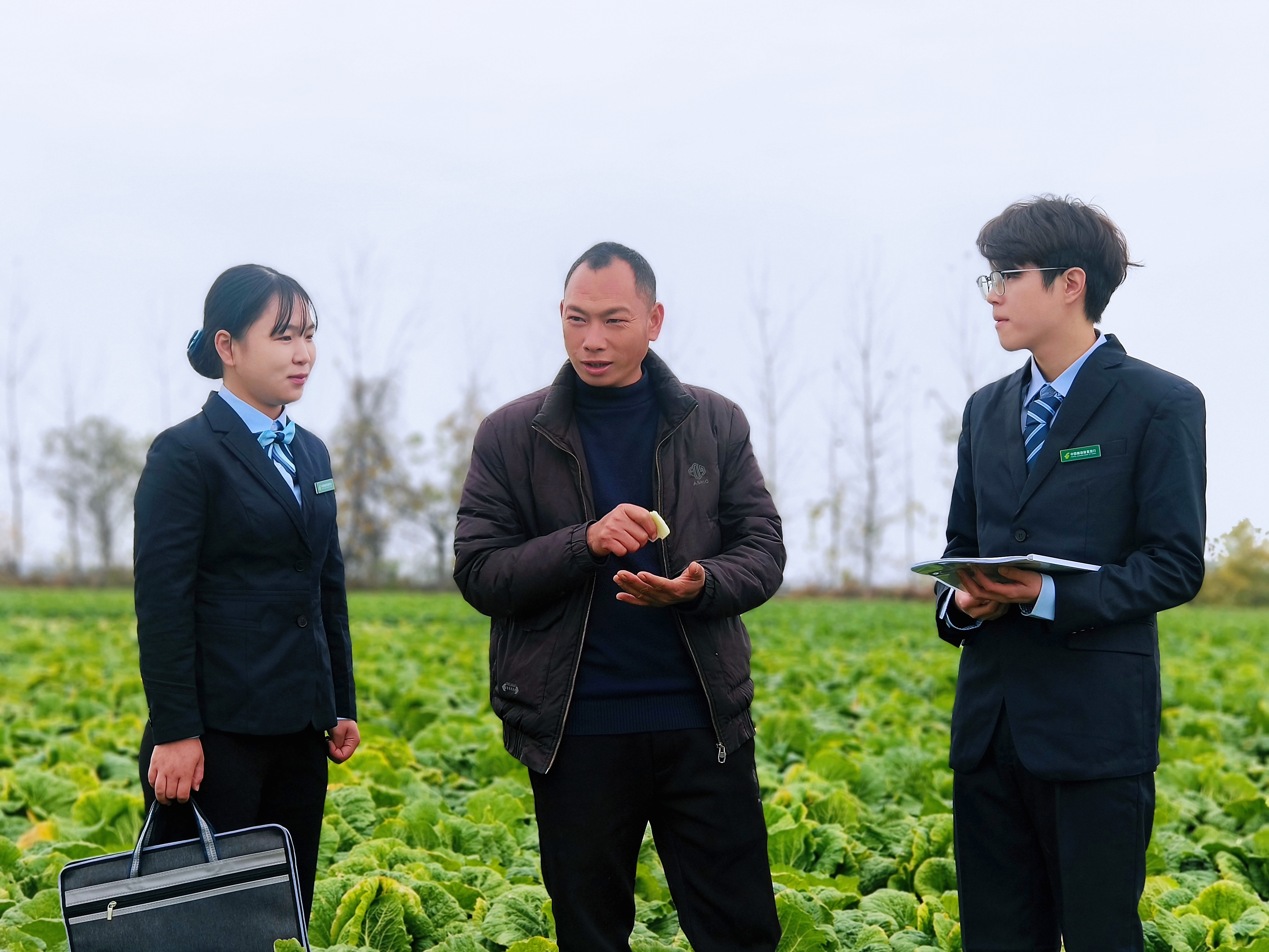 金融活水精准滴灌“蔬菜之乡”——邮储银行“极速贷”助力嘉鱼蔬菜香飘世界