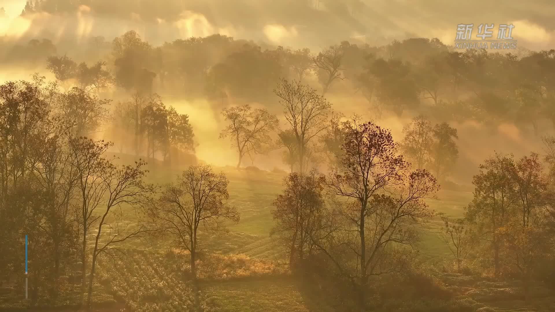 安徽休宁：水墨溪洲入画来