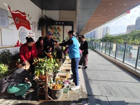 植趣为伴 友缘同行  ——固兴社区开展长者园艺支持小组