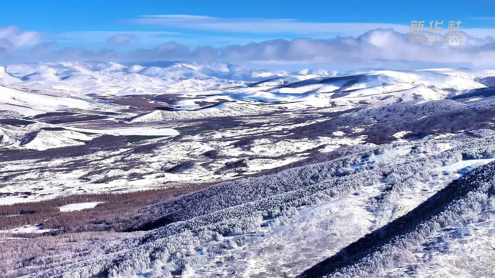 秀我中国|大美古日格斯台:冬季雪原生灵共舞_凤凰网视频_凤凰网