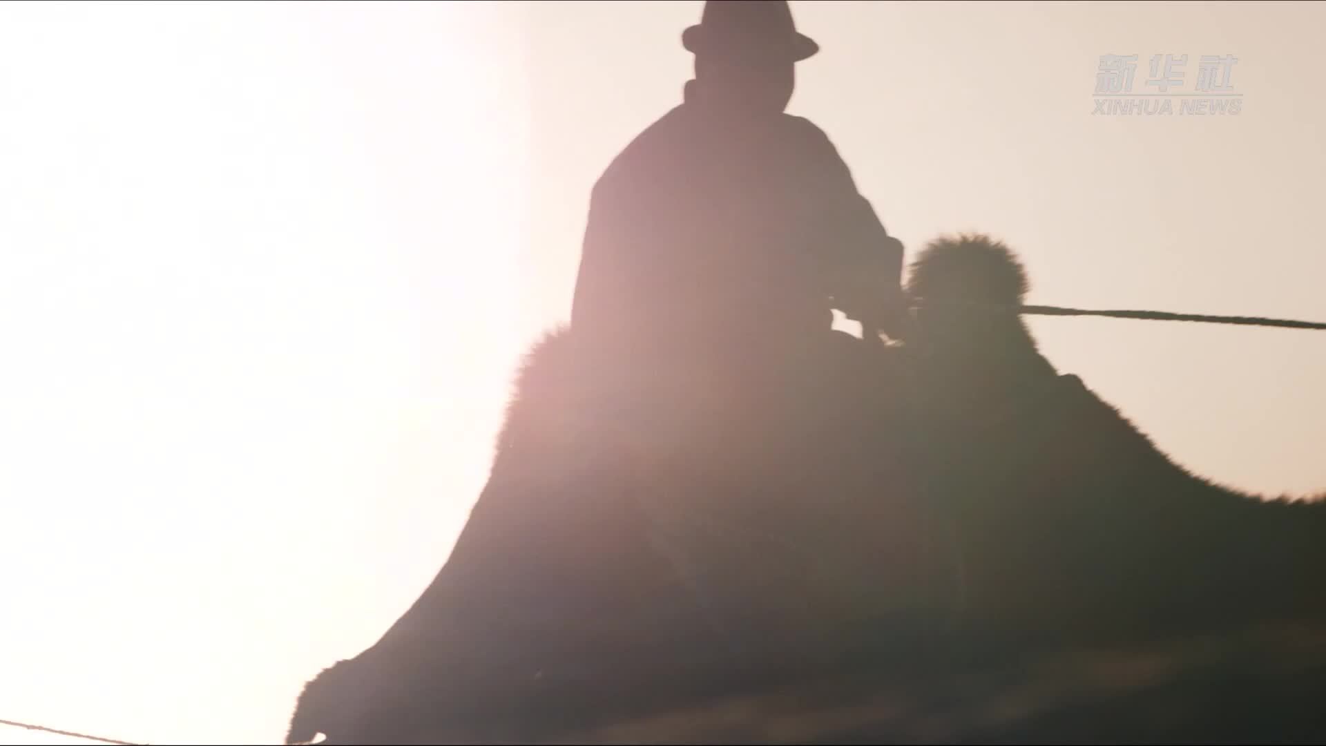 跟着非遗游内蒙古丨阿拉善：构建“非遗+”活化生态 绽放民族团结之花