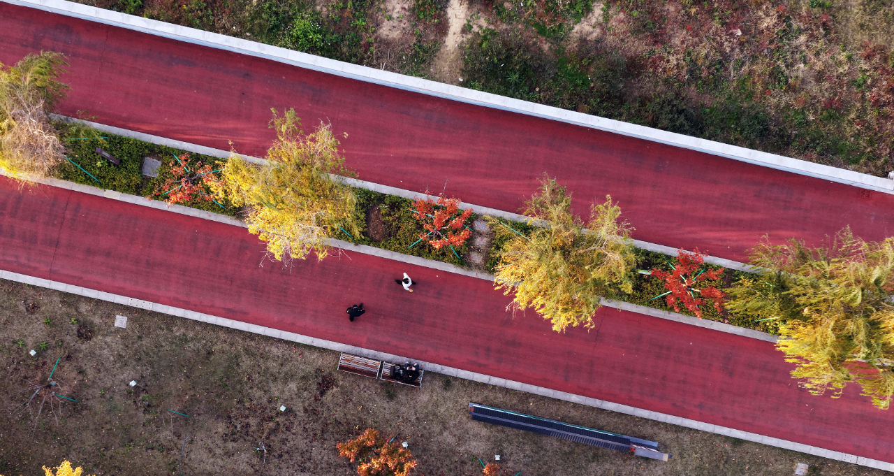 九江：初冬岸线焕彩 绿道健身怡心（图）
