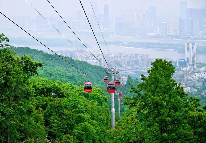 岳麓山索道。