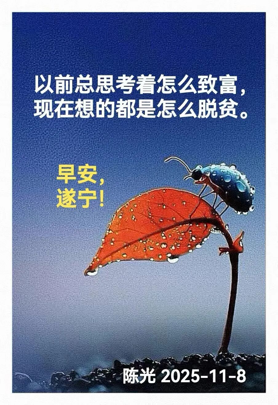 早安心语丨知世故而不世故，爱人爱己，豁达乐观！