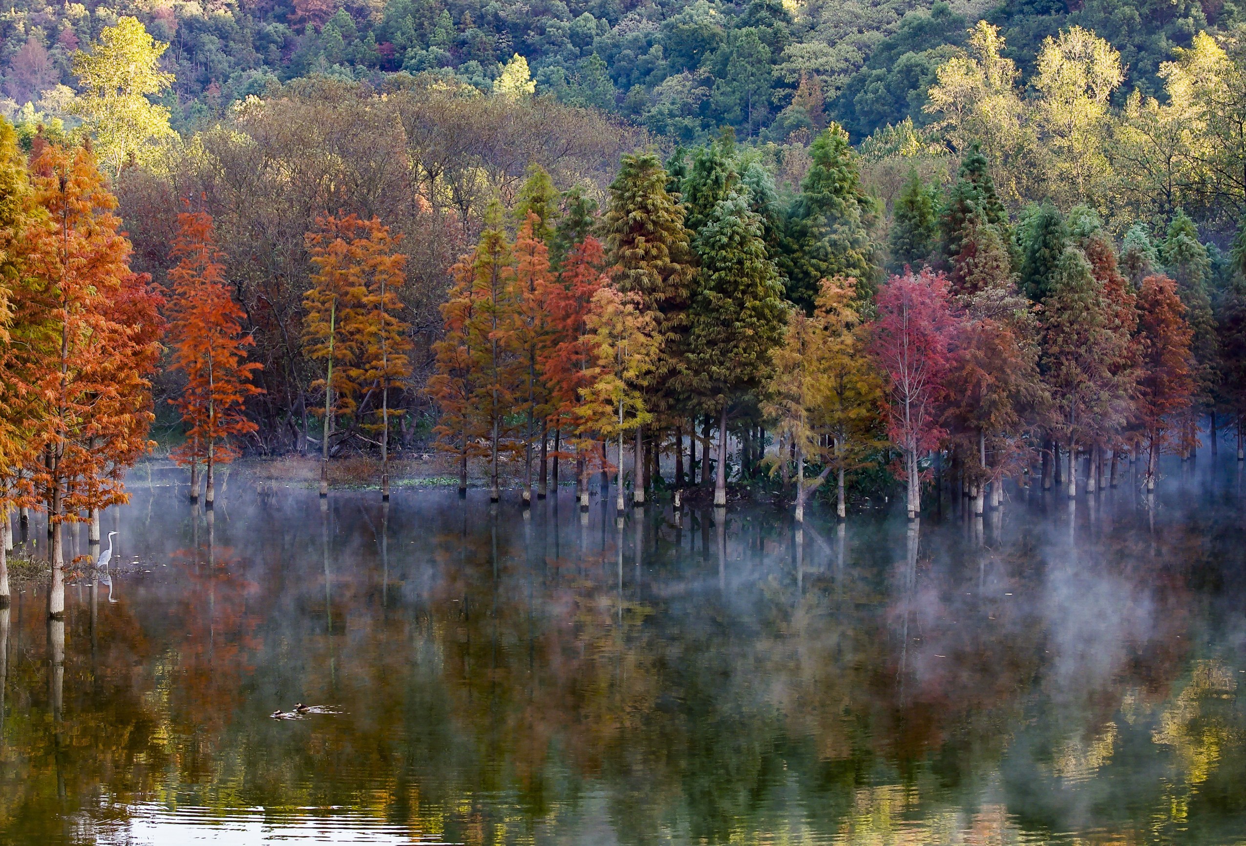 仙女湖冬景如画（图）