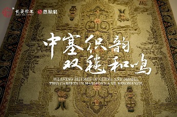 专题片 | 长安雅集：中塞织韵 双毯和鸣