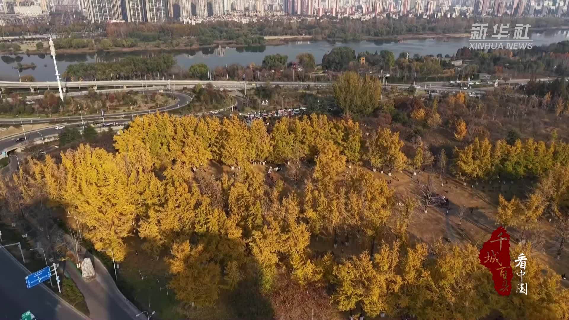 千城百县看中国｜山东兰山：落叶“缓扫”留诗意