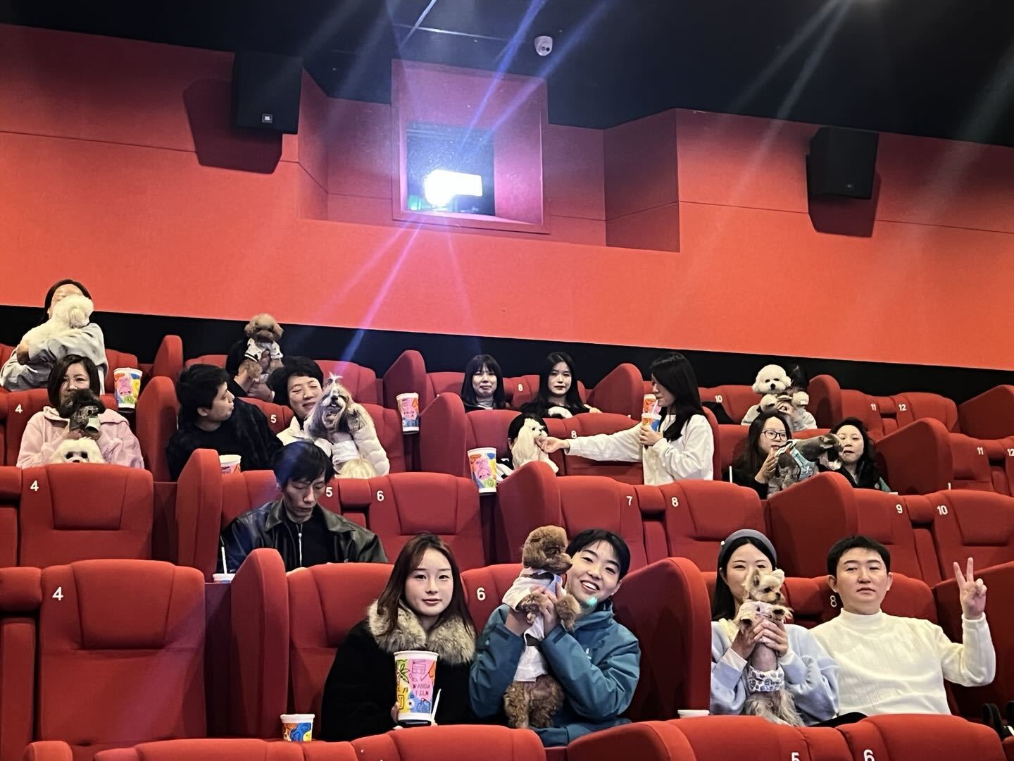 武汉寰映影城-疯狂动物陪伴厅