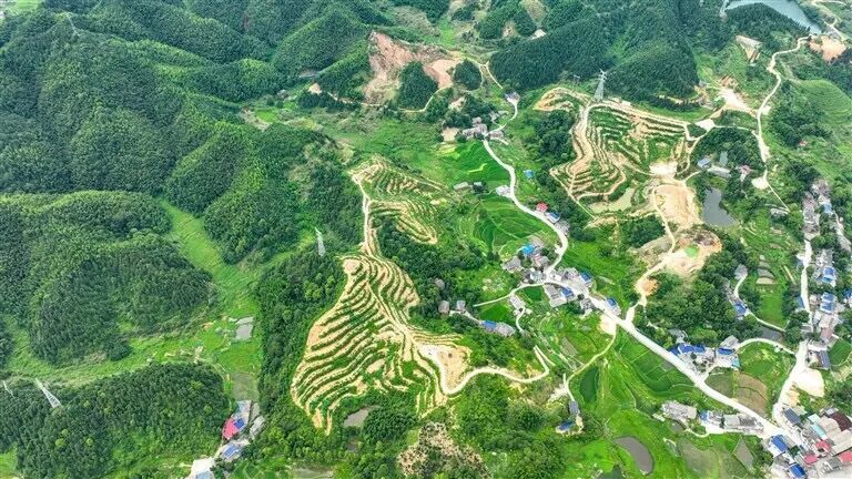 萍乡这个镇以智造为翼，奏响工业强镇新乐章