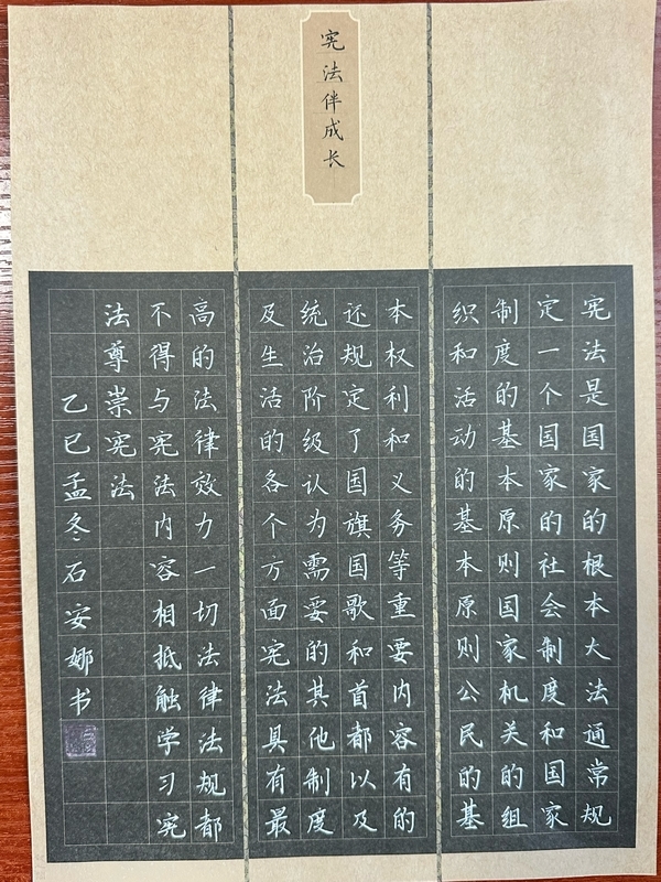 国家宪法日，天桥区一学校多维形式开展主题教育
