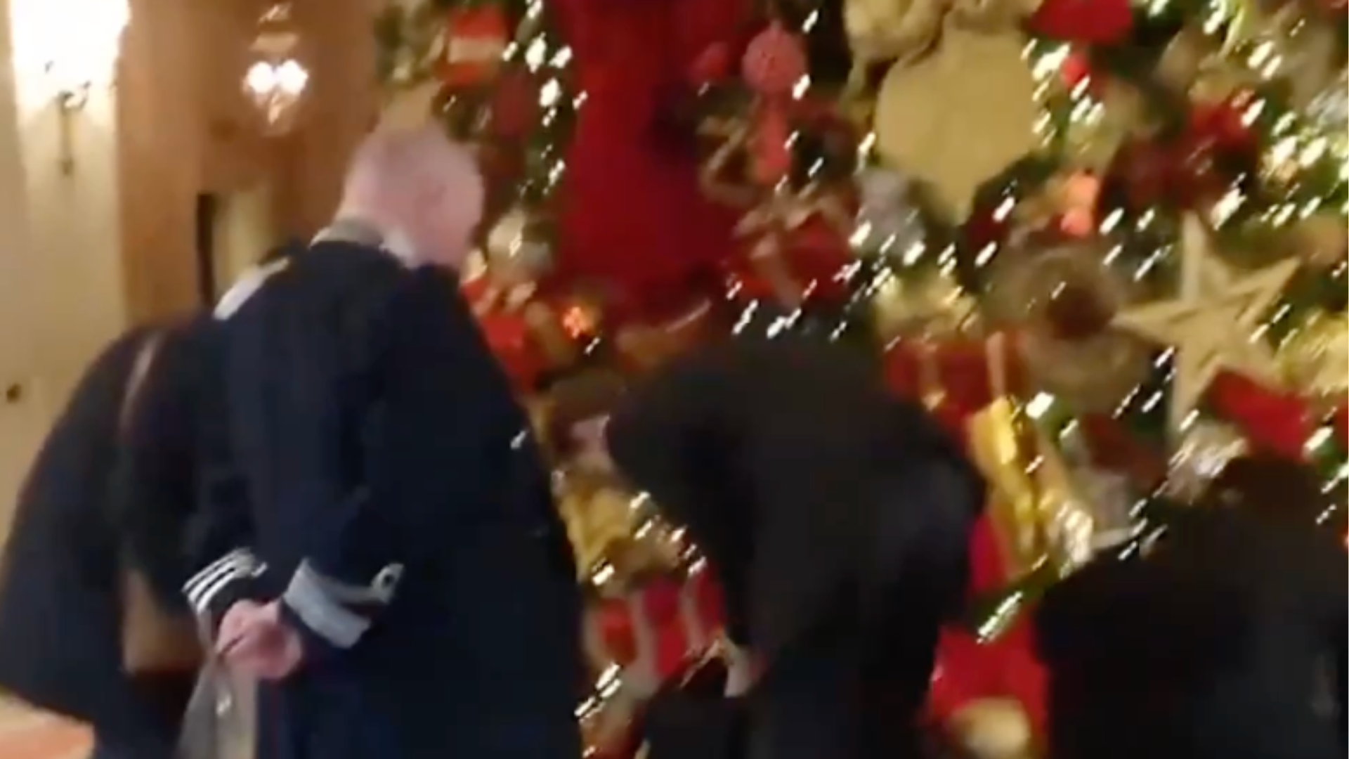 活久见！为喊话“向富人征税”，英国抗议者拖行李箱进奢华酒店，在圣诞树前倒空三袋💩…