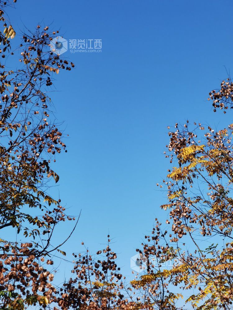 萍乡：冬日风景美如画（图）