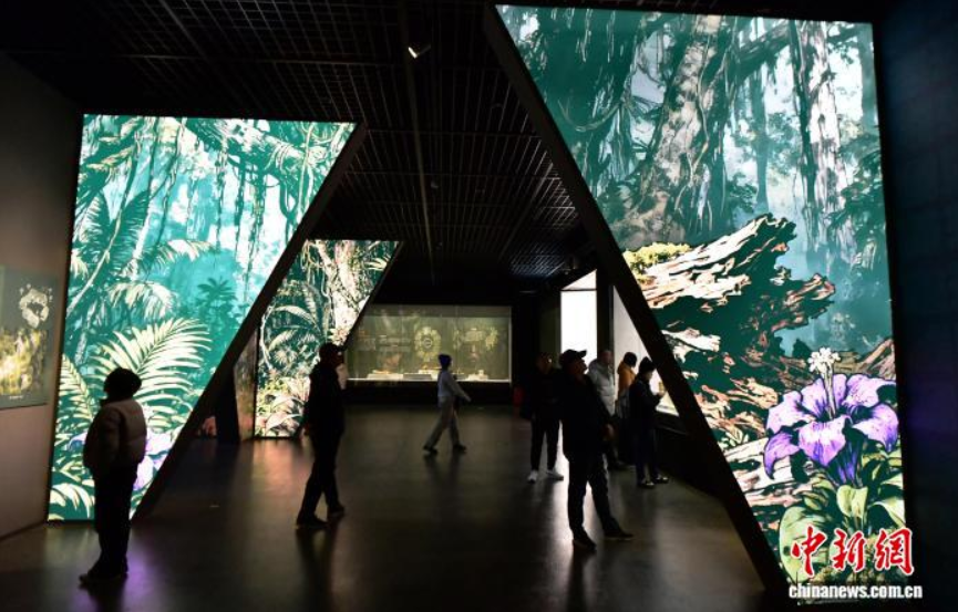 209件玛雅文物亮相河北博物院 探秘千年文明