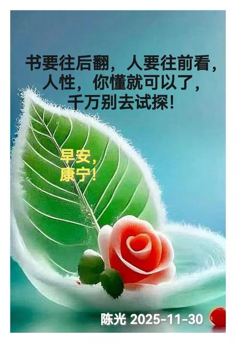 早安心语丨知世故而不世故，爱人爱己，豁达乐观！