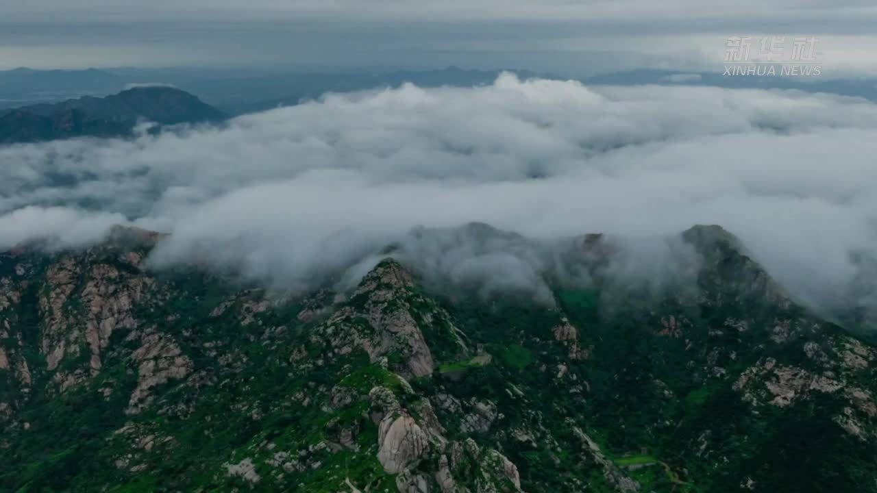 中国经济样本观察·县域样本篇｜民营经济何以成为这座山东小城“最亮名片”？