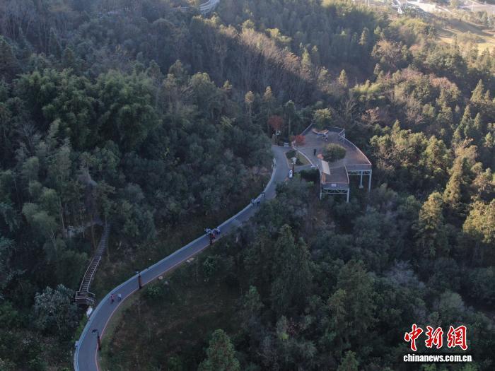 图为11月30日,江西崇义县,登山爱好者们行走在森林绿道间。(无人机照片)刘力鑫 摄