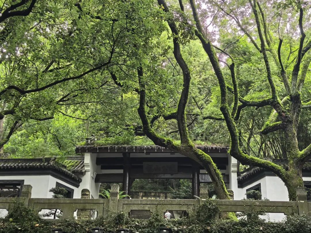 砥砺40年 奋进新征程｜四秩芳华织锦绣 满城青绿入画来