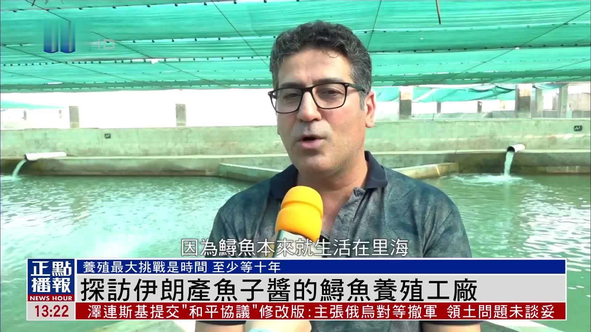 伊朗少数未受出口制裁奢侈品“鱼子酱”凤凰探访其养殖工厂