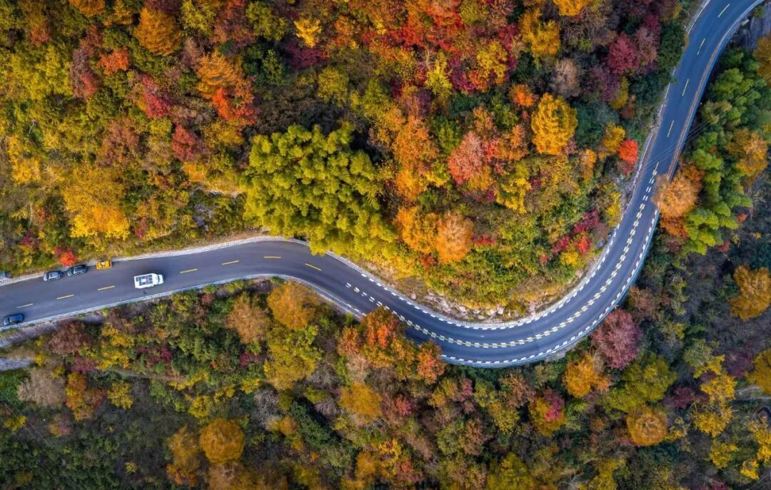 最美的时候到了！宁波市区出发，直达