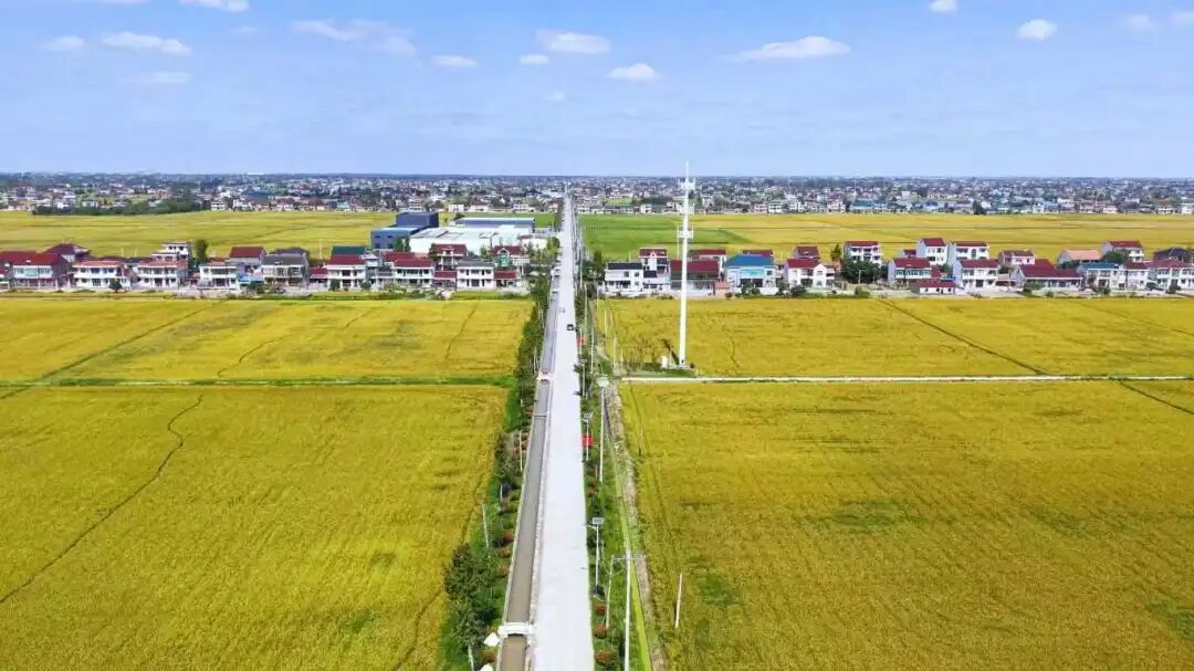 △如东县新店镇全域土地综合整治国家试点项目通过整体验收。