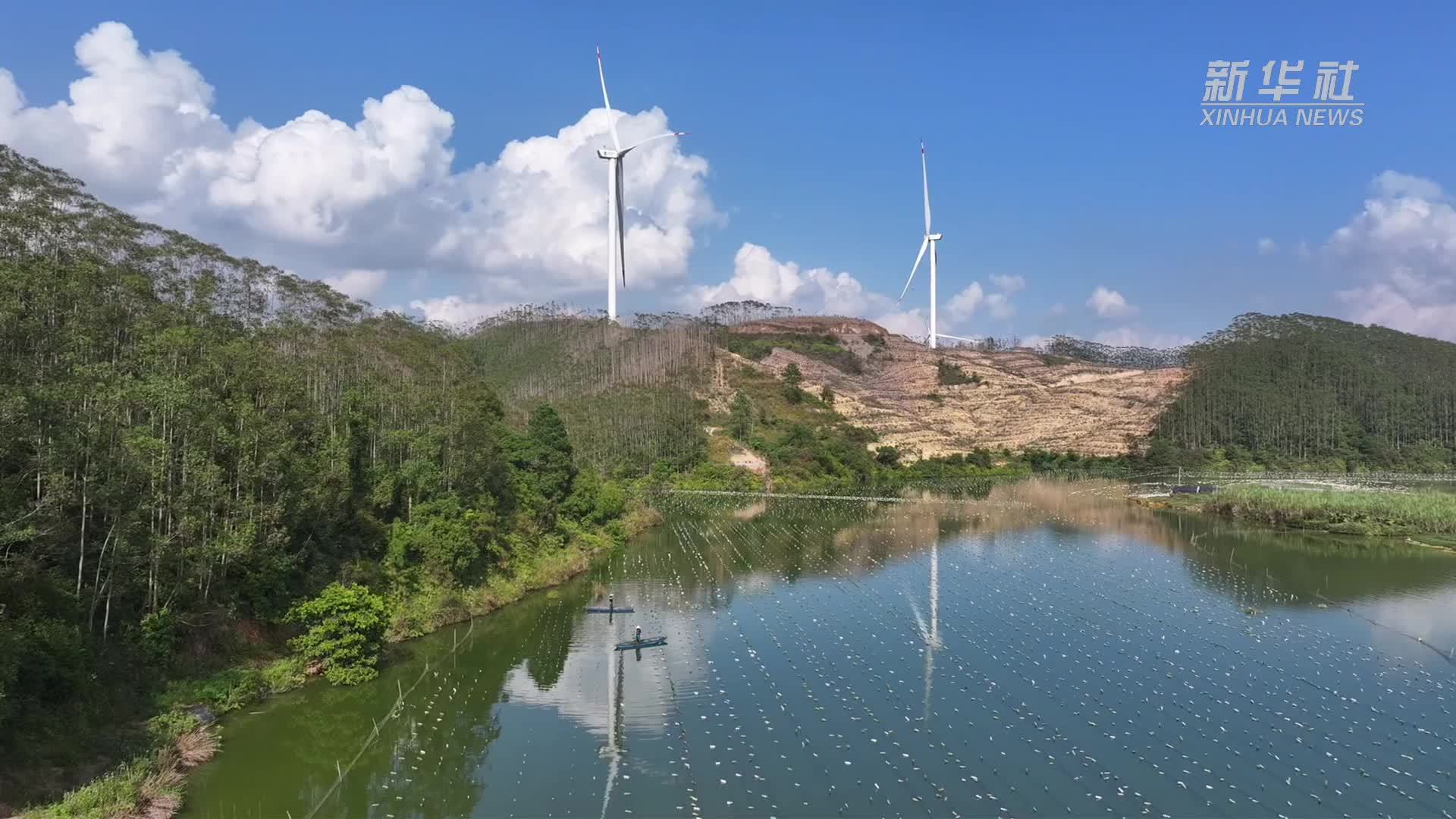 广西钦州：淡水珍珠养殖串起富民路