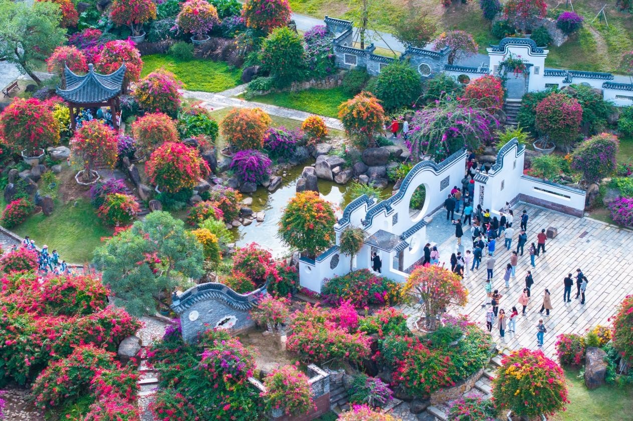 萌宠当家，花海为伴！广州马岭植物园成亲子露营打卡新热点