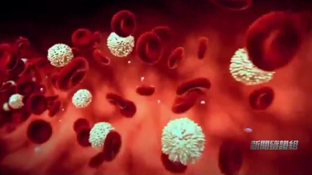 鉴证：稀释血液能否抗衰？