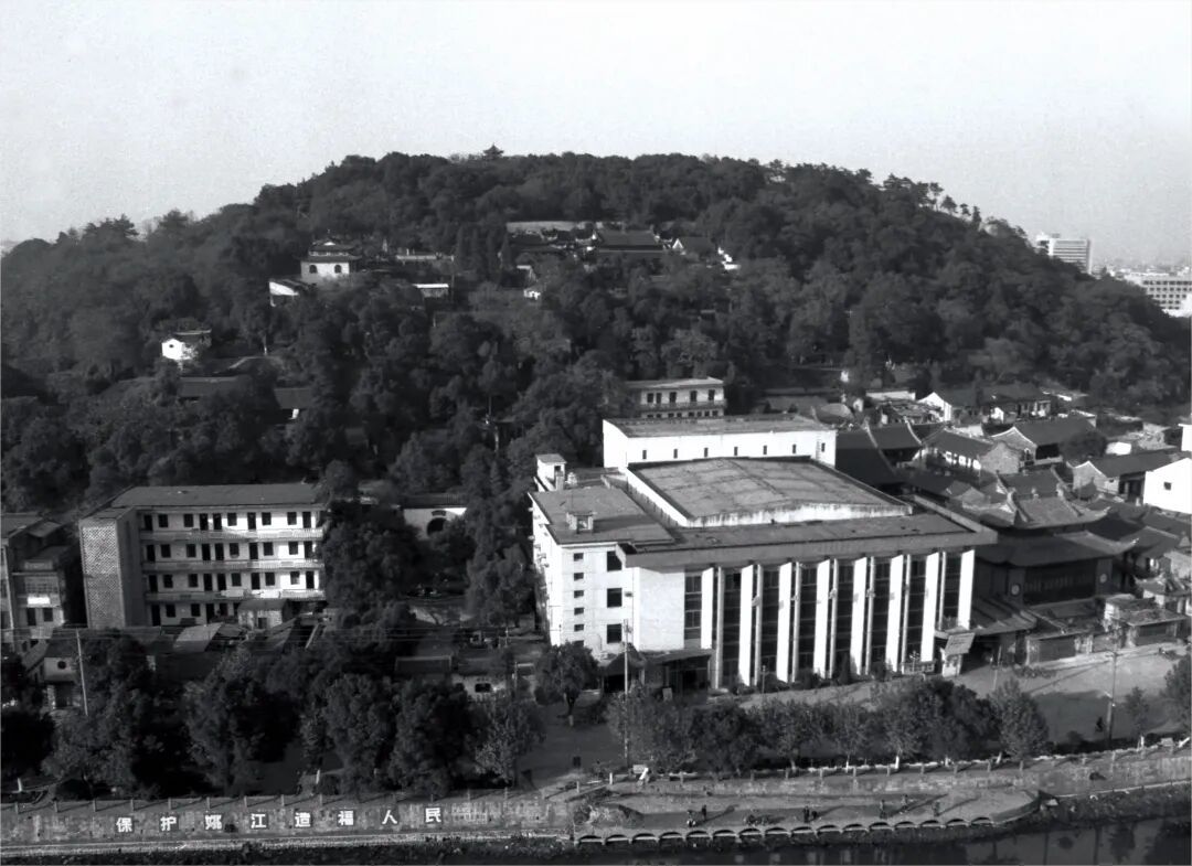 砥砺40年 奋进新征程｜四秩芳华织锦绣 满城青绿入画来