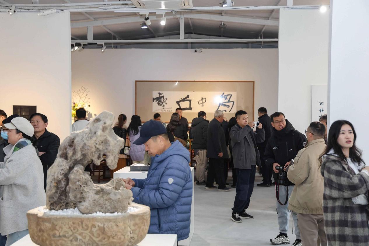 跨越时空的光影盛宴，致敬经典与先锋探索的答卷