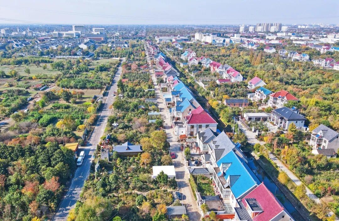 △如皋顾庄社区生态乡村别样美。吴树建摄